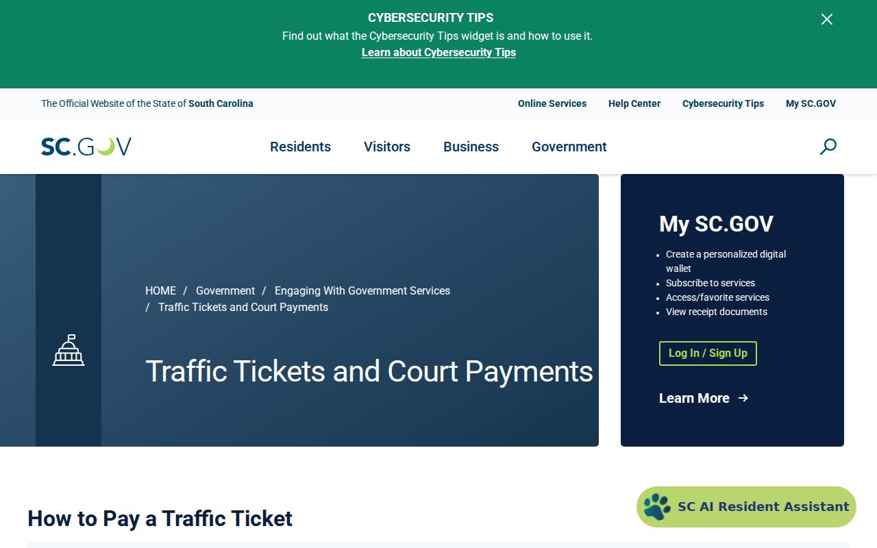 Anderson County traffic warrants: county and municipality choice in the state payment portal